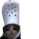 cz_croccat