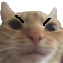 cat_mad_died Discord emoji