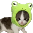 catfrog Discord Emoji
