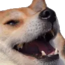 hehhehheh hehhehheh