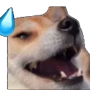nervousHehheh
