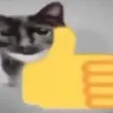 catthumbsup