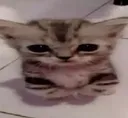 Ramreztriste