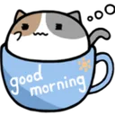 cat_good_morning