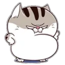 cat3angry