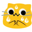 cat_sweat cat_sweat