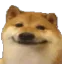 vlt_doge_smile