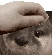 OtterPat