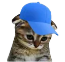 SadCatCap