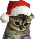 ChristmasSadCat