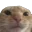swag_earless
