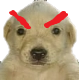 MS_Quenfado Discord emoji