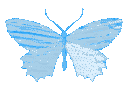 Butterfly Blue Butterfly_Blue Discord Emoji