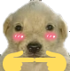 MS_Quetto Discord emoji