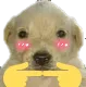 GW_Quetto