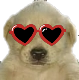 MS_Quepro Discord emoji
