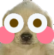 MS_Quemetiste Discord emoji