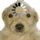 MS_Quelag Discord emoji