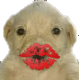 MS_Quebeso Discord emoji