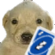 MS_Quereversotemeti Discord emoji