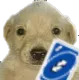 GW_Quereversotemeti