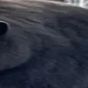 tank