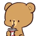 bear_sip