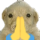 MS_Querecemosdicen Discord emoji