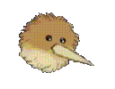 dorbspin