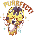 CatBee_Purrfect