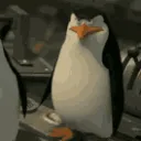 Penguin_knife Penguin_knife