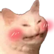 catblush
