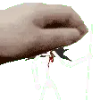 petmarrow