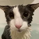 soggerson