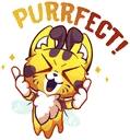 CatBee_Purrfect