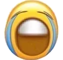 sob