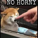 NoHorny
