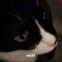 what