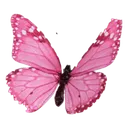 butterflypink
