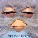 fightmeyoufurby Discord Emoji