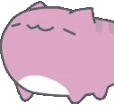 nodkitty nodkitty