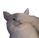 catfacepalm Discord emoji