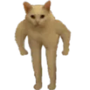 stronk stronk