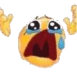 cry