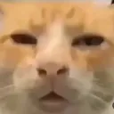 __