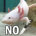 R_Ajolote_NO