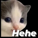 hehe_cat hehe_cat
