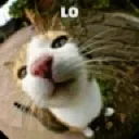 :lo: