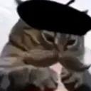 sad_cat sad_cat