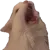 aaaa